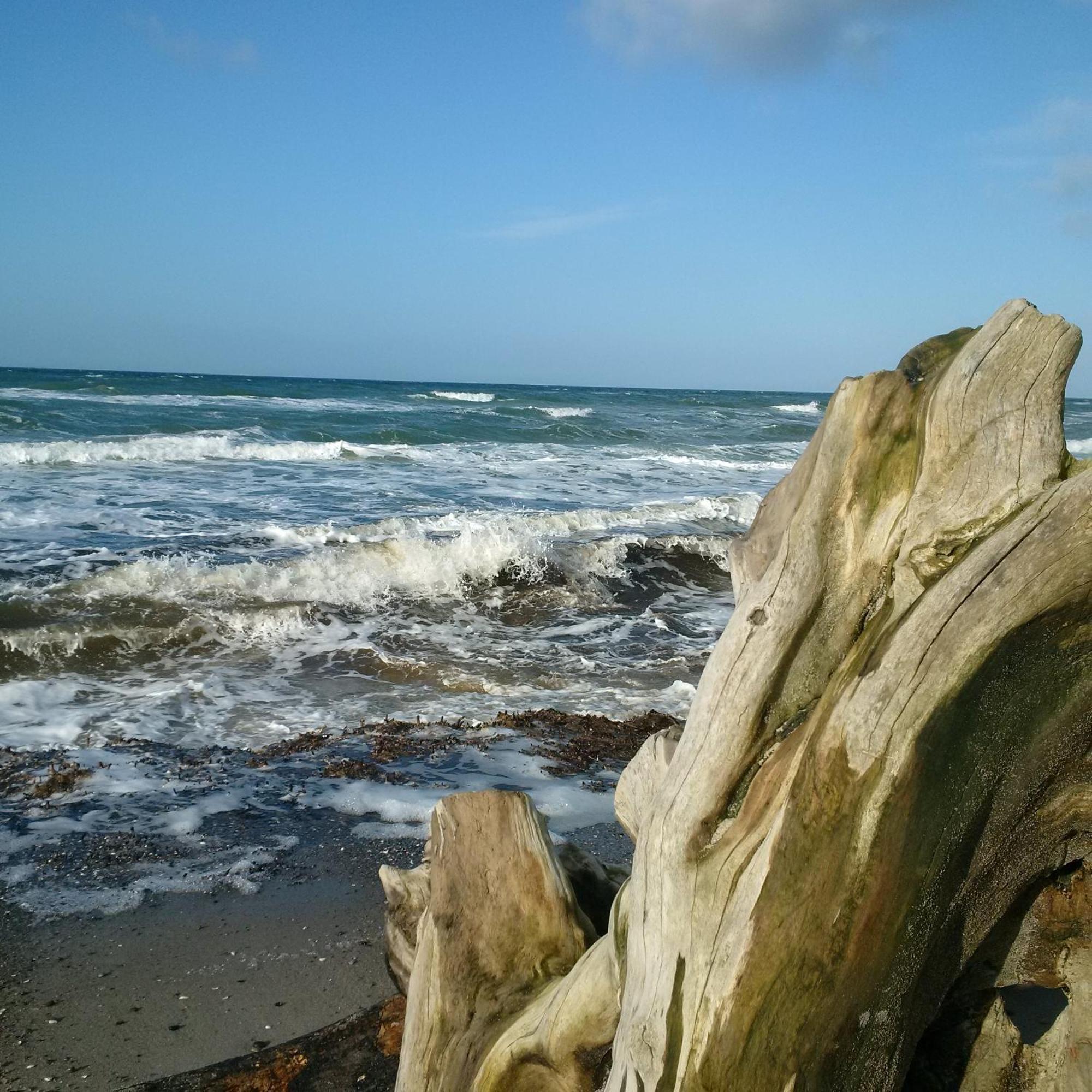DÜNE-9 in Dierhagen-Strand Habitación foto